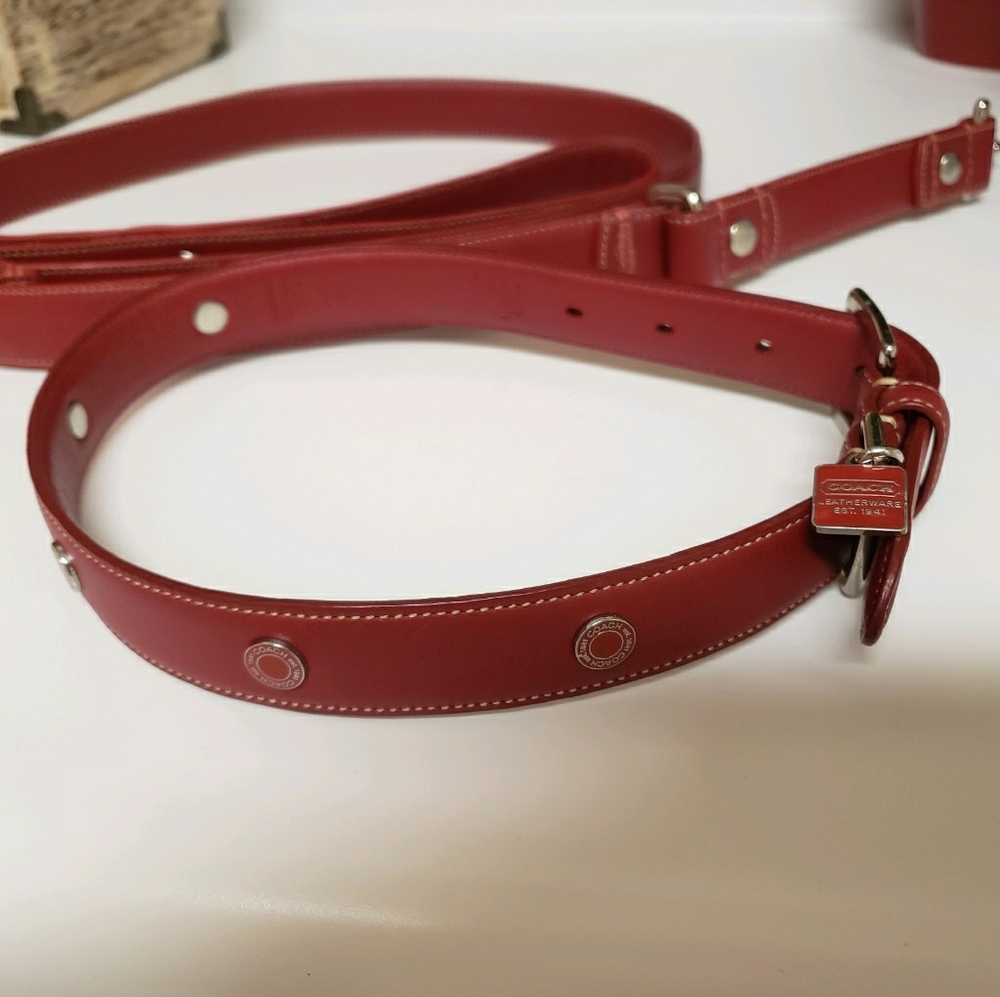 Coach Dog collar and leash